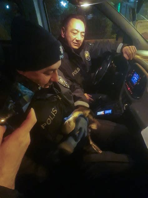 S­a­m­s­u­n­’­d­a­ ­y­a­r­a­l­ı­ ­k­a­r­a­b­a­t­a­ğ­ı­ ­d­e­v­r­i­y­e­ ­p­o­l­i­s­i­ ­k­u­r­t­a­r­d­ı­